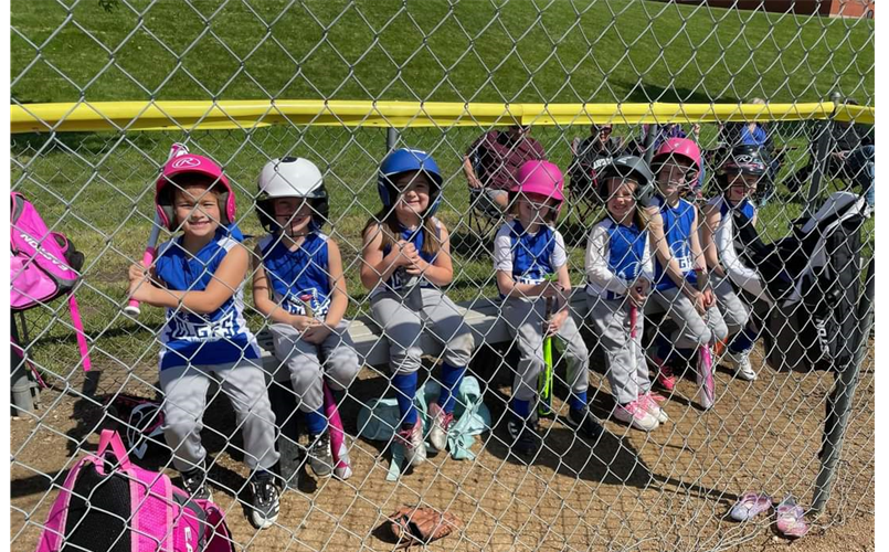 6U BLUE BULLDOGS